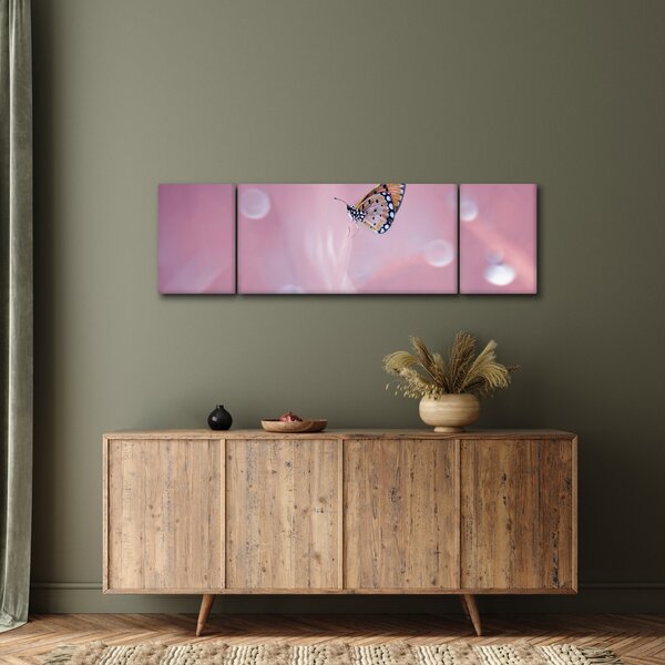 Obraz - Motýlek (170x50 cm)