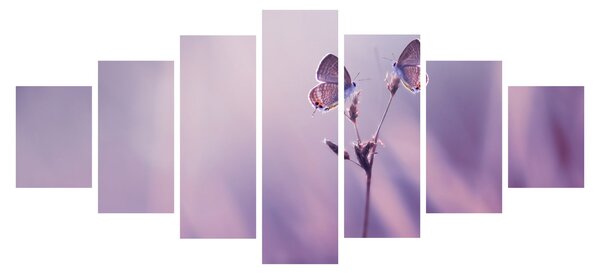 Obraz - Fialoví motýlci (210x100 cm)