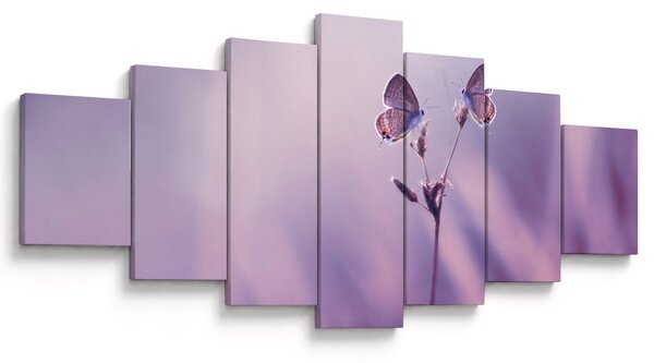 Obraz - Fialoví motýlci (210x100 cm)
