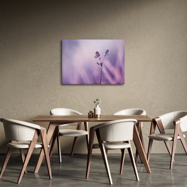 Obraz - Fialoví motýlci (70x50 cm)