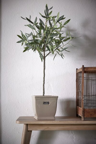 Lene Bjerre Dekorativní olivovník - 73 cm LB194