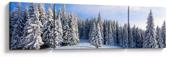 Obraz - Zima v lesích (170x50 cm)