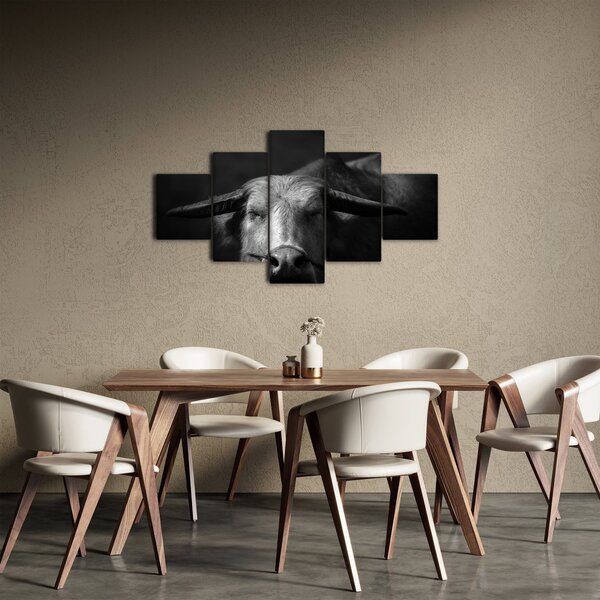 Obraz - Kráva (125x70 cm)