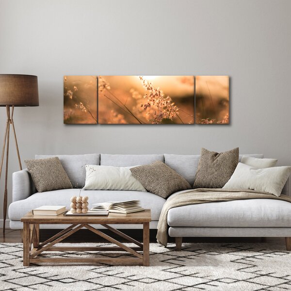 Obraz - Tráva na slunci (170x50 cm)