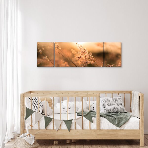 Obraz - Tráva na slunci (170x50 cm)
