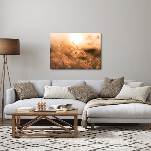 Obraz - Tráva na slunci (70x50 cm)