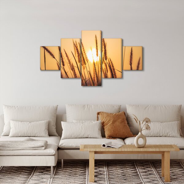 Obraz - Traviny ve slunci (125x70 cm)