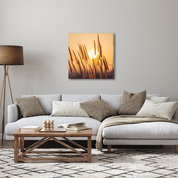 Obraz - Traviny ve slunci (30x30 cm)