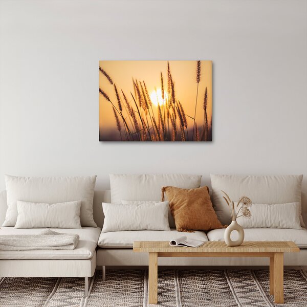 Obraz - Traviny ve slunci (70x50 cm)