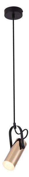 Rabalux 6429 - LED Lustr na lanku RAVEN LED/5W/230V