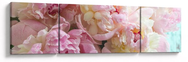 Obraz - Pivoňky (170x50 cm)