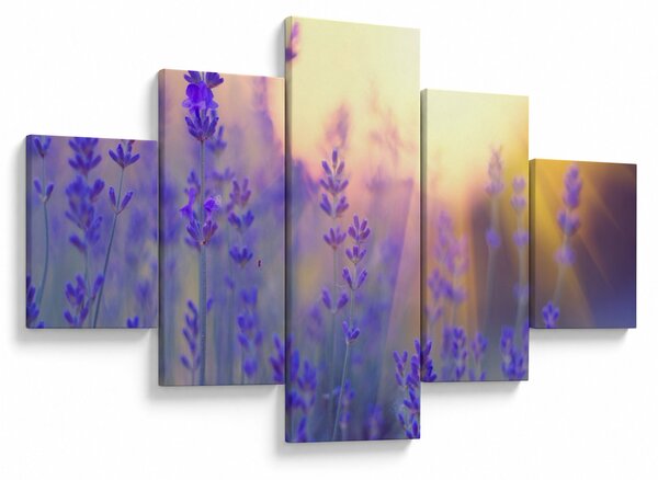 Obraz - Levandule (125x70 cm)