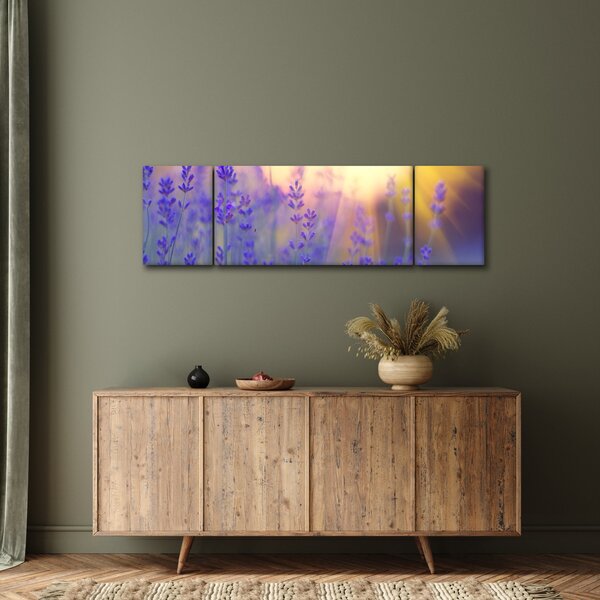 Obraz - Levandule (170x50 cm)