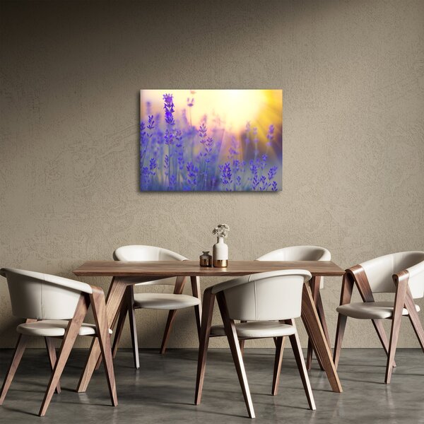 Obraz - Levandule (70x50 cm)