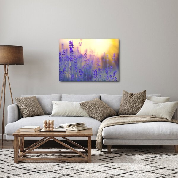Obraz - Levandule (70x50 cm)