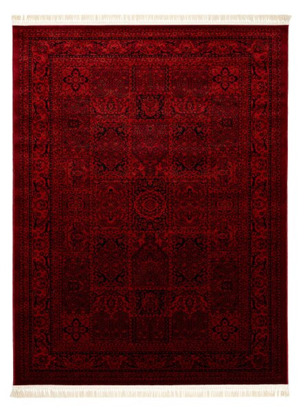 Koberec ORIENT 5365 s třásněmi, rám / orientální, bordó / černý