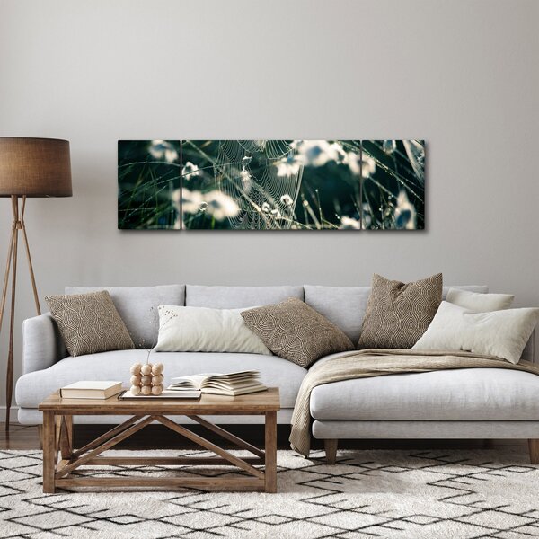 Obraz - Pavučina (170x50 cm)