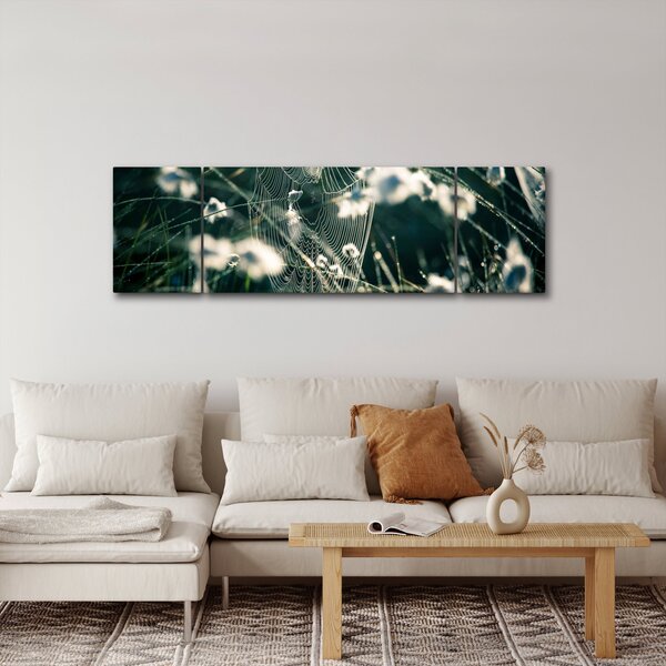 Obraz - Pavučina (170x50 cm)