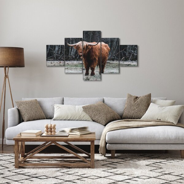 Obraz - Skotská kráva 2 (125x70 cm)