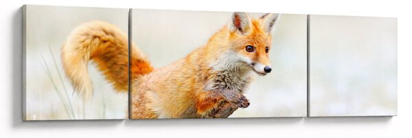 Obraz - Skákající liška (170x50 cm)
