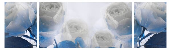 Obraz - Bílé růže (170x50 cm)