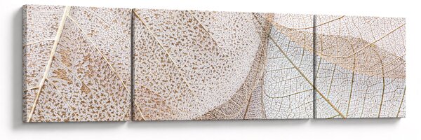 Obraz - Béžové listy (170x50 cm)