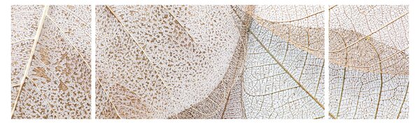Obraz - Béžové listy (170x50 cm)