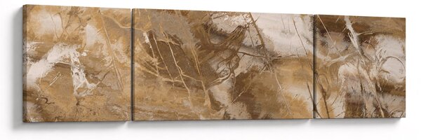 Obraz - Hnědá abstrakce (170x50 cm)