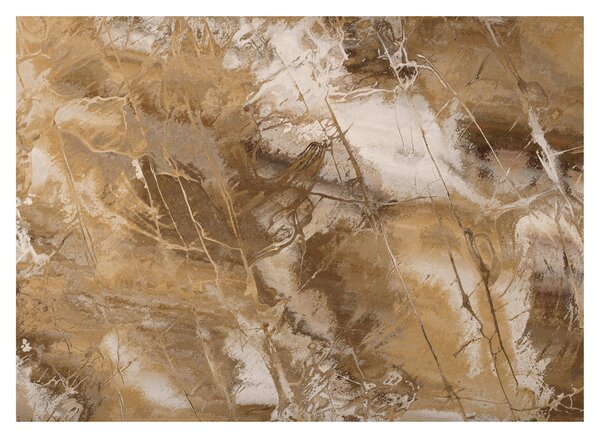 Obraz - Hnědá abstrakce (70x50 cm)