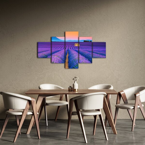 Obraz - Levandulové pole (125x70 cm)