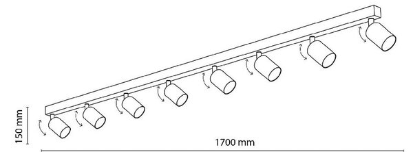TK Lighting Top stropní světlo x10 W bílá 6879