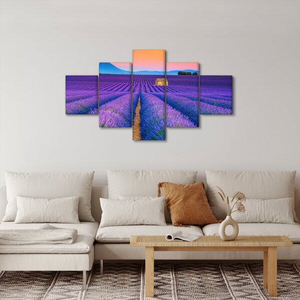 Obraz - Levandulové pole (125x70 cm)