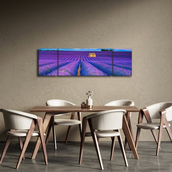 Obraz - Levandulové pole (170x50 cm)
