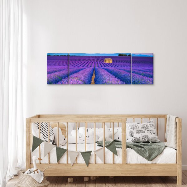 Obraz - Levandulové pole (170x50 cm)