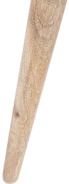 Sada 2 odkládacích stolků SAKITA Mangové dřevo Hnědá/Bílá