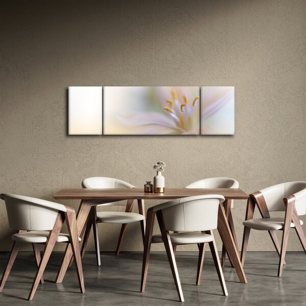 Obraz - Jemný květ (170x50 cm)
