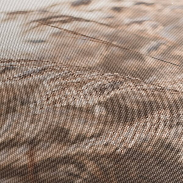 Obraz - Luční vánek (70x50 cm)