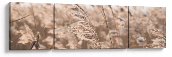 Obraz - Luční vánek (170x50 cm)
