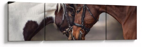 Obraz - Zamilovaní koni (170x50 cm)