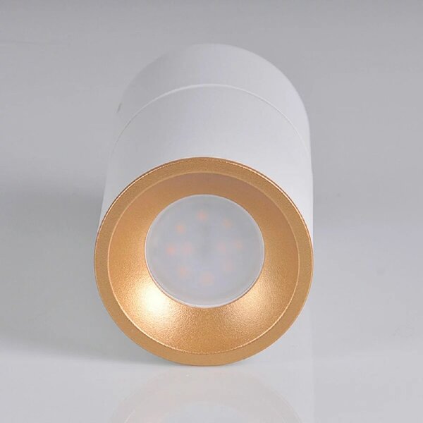 Goldlux Nixa stropní světlo 1x10 W bílá 314260