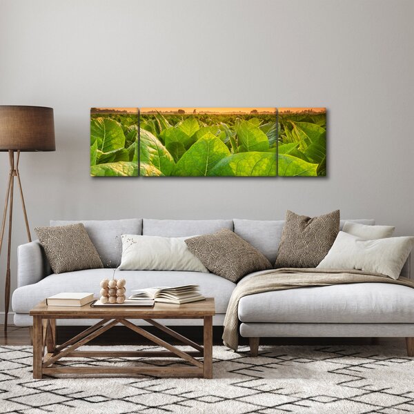 Obraz - Pole (170x50 cm)
