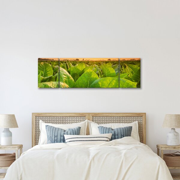 Obraz - Pole (170x50 cm)