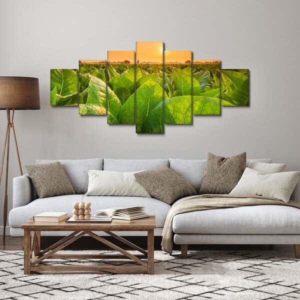 Obraz - Pole (210x100 cm)