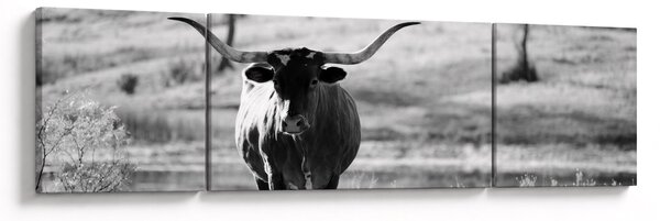 Obraz - Kráva, černobílá (170x50 cm)