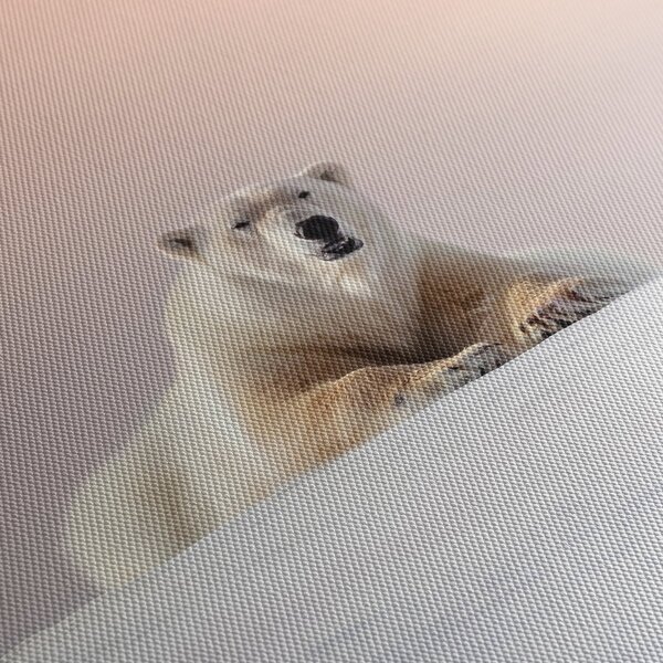 Obraz - Lední medvěd (210x100 cm)