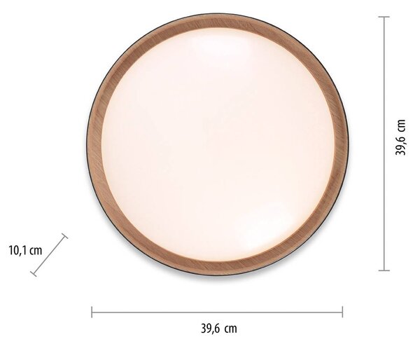 JUST LIGHT. GmbH LED stropní svítidlo Emilia 3stupňové stmívatelné černé, stmívatelný, Černá, Obývací pokoj / jídelna, kov, Moderní
