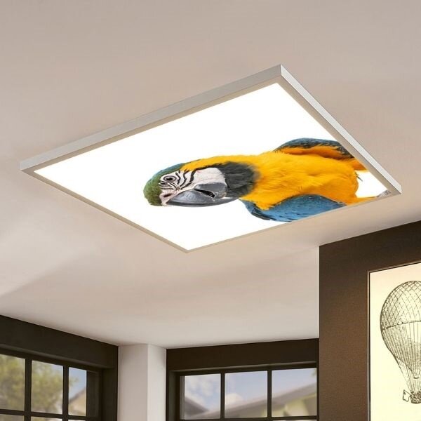 LED panel s motivem papoušek 60x60cm 40W 4200lm denní