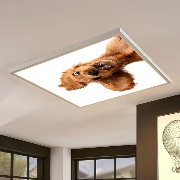 LED panel s motivem pes 60x60cm 40W 4200lm denní