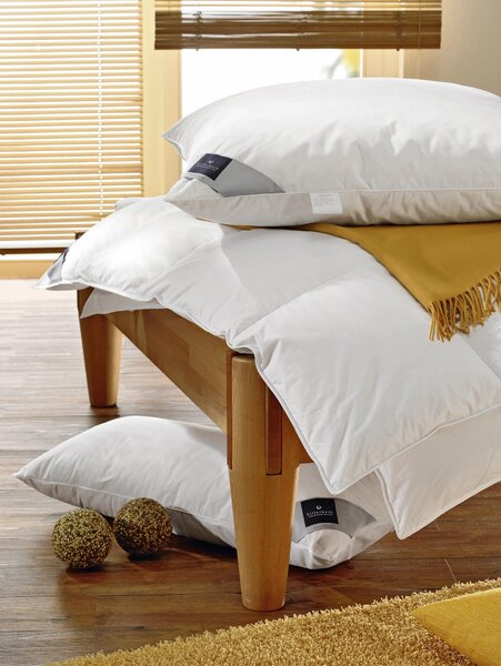 POLŠTÁŘ POD HLAVU, 40/80 cm Billerbeck - Polštáře pod hlavu, Online Only