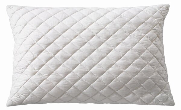 POLŠTÁŘ POD HLAVU, 40/80 cm Billerbeck - Polštáře pod hlavu, Online Only